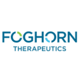 Foghorn Therapeutics  logo