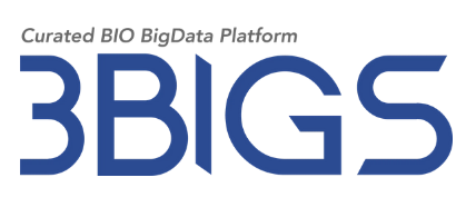 3BIGS logo