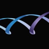SENS Research Foundation