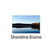 Shoreline Biome logo