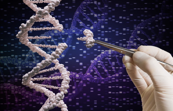 Companies Developing CRISPR Therapies