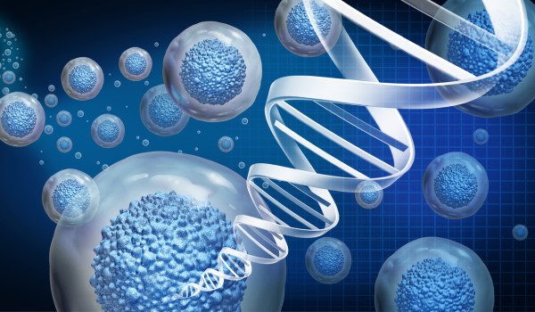 Companies Developing Gene Therapies