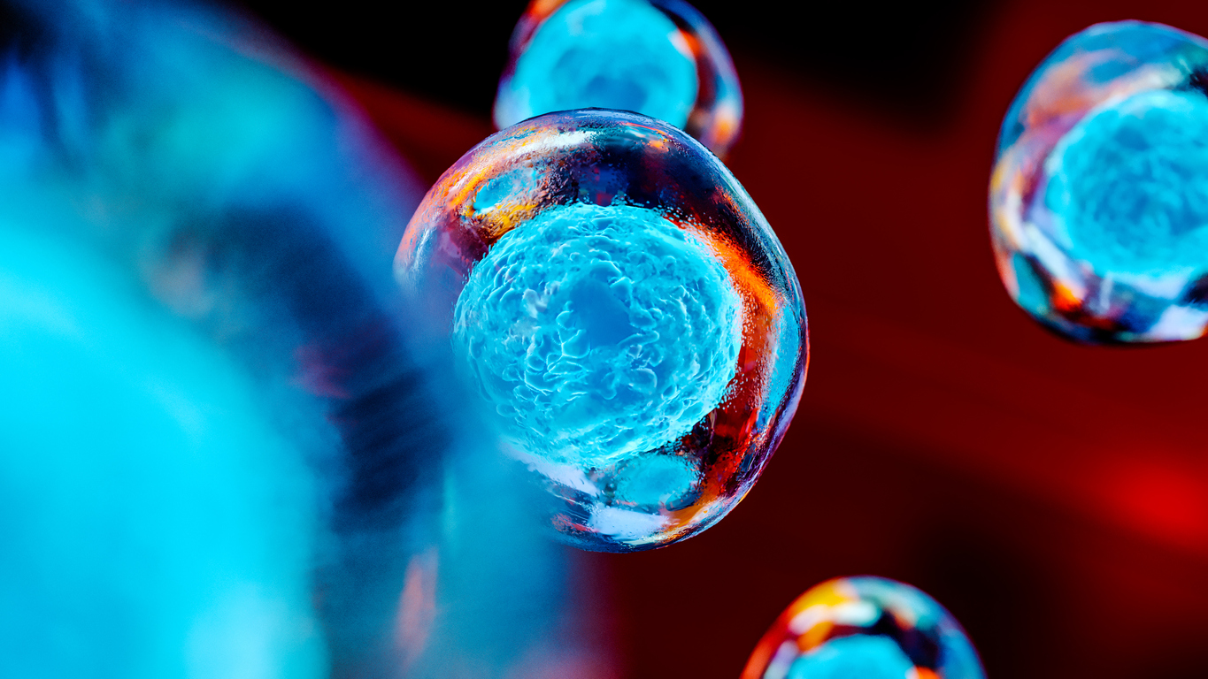 Companies Developing Stem Cell-based Therapies and Products