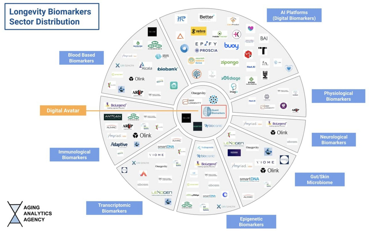 Longevity industry mindmap