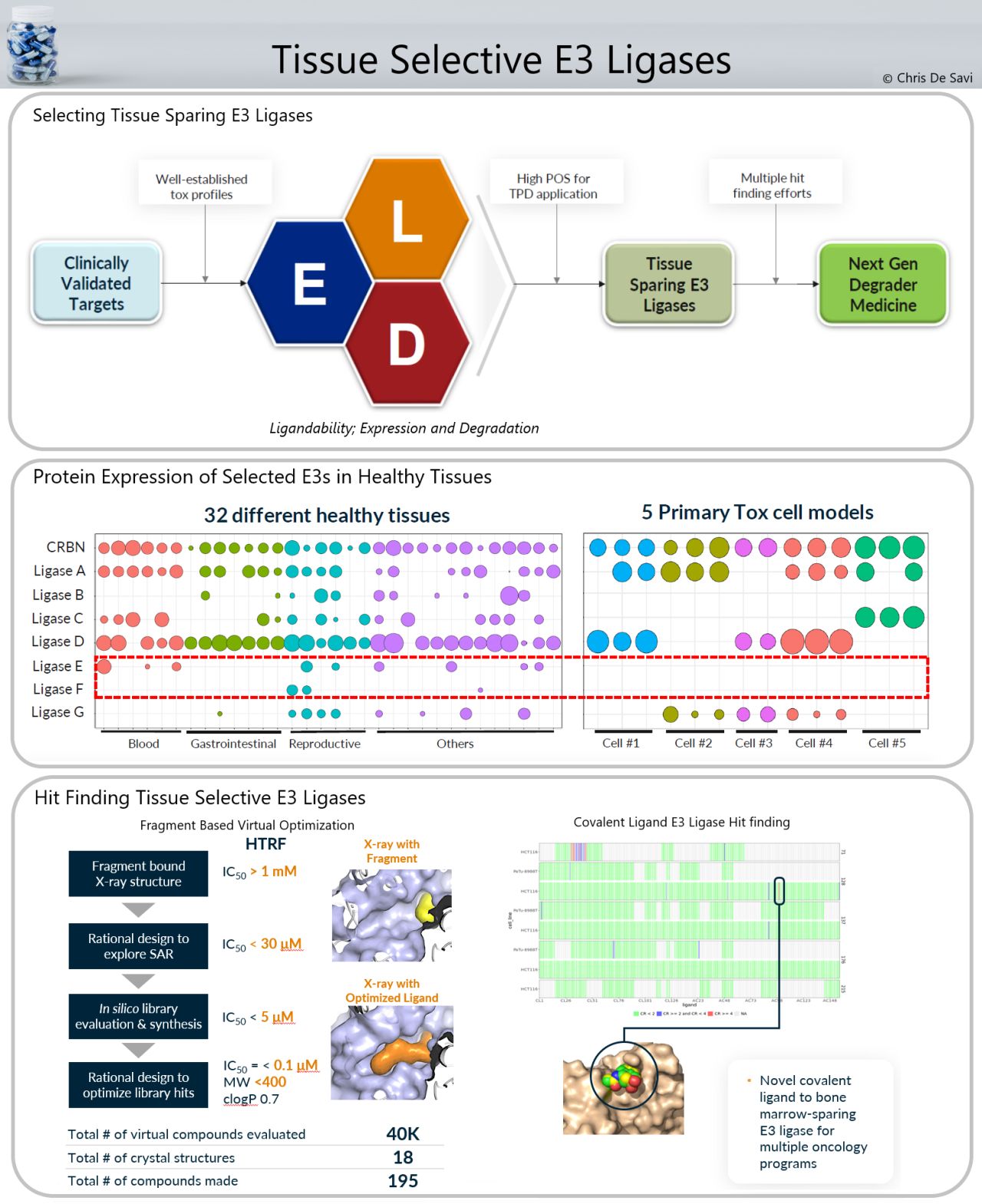 Tissue Selective E3 Ligases