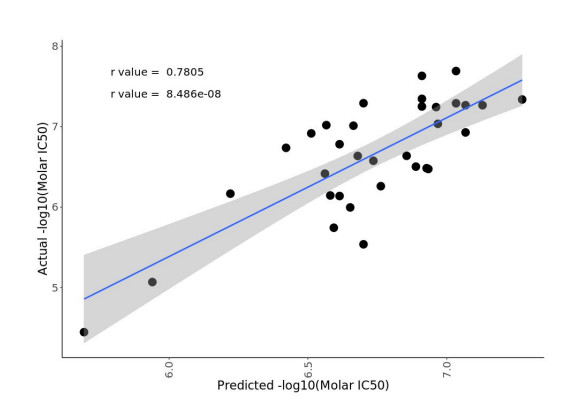 RADR model performance