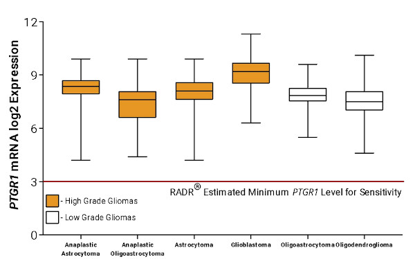 PTGR1 mRNA expression