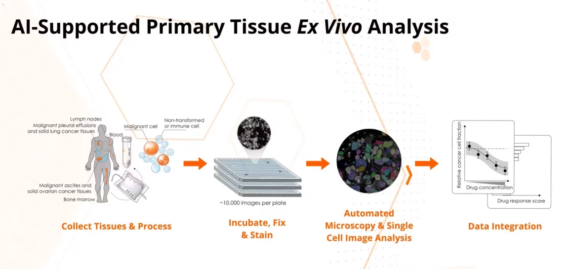 AI-supported primary tissue Ex Vivo analysis