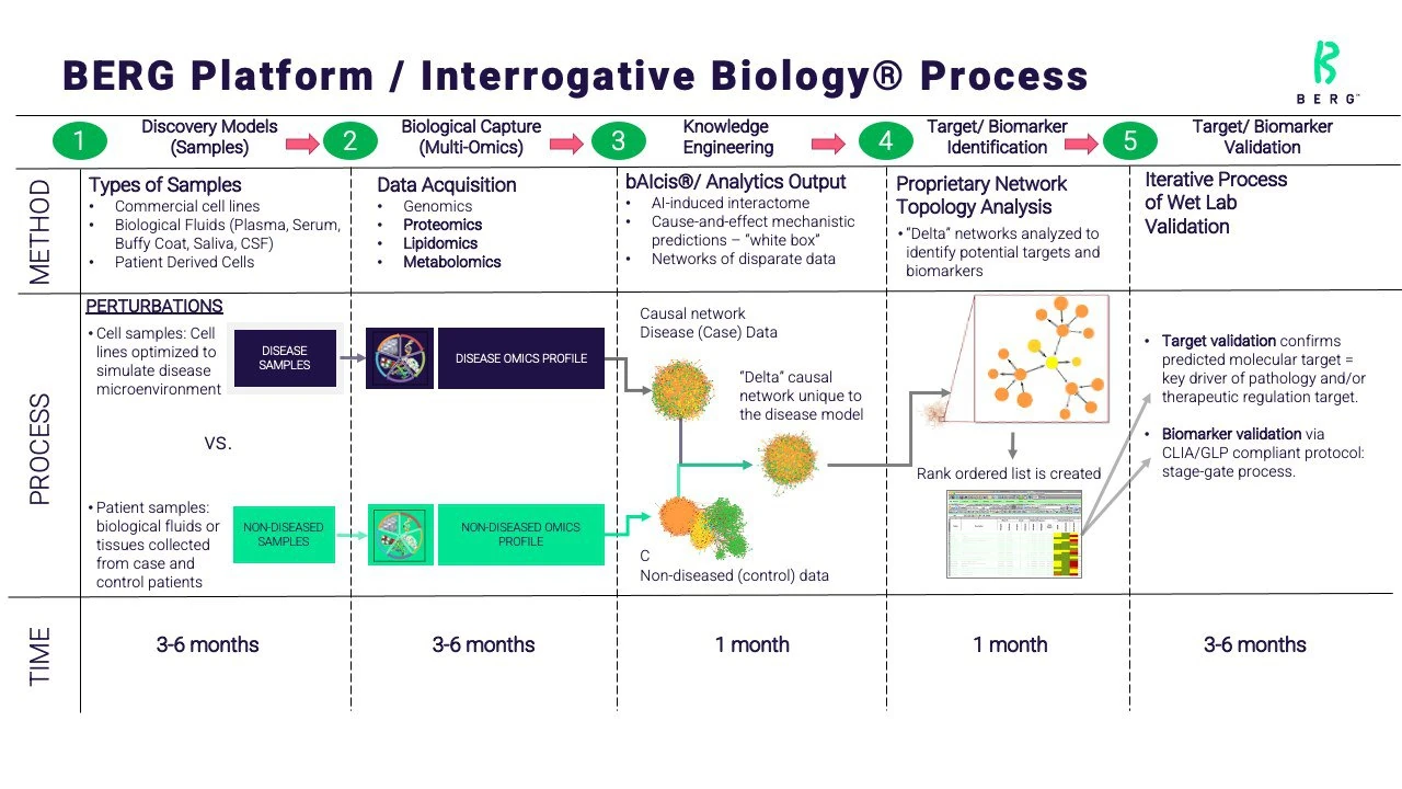 BERG Platform, Interrogative Biology Process