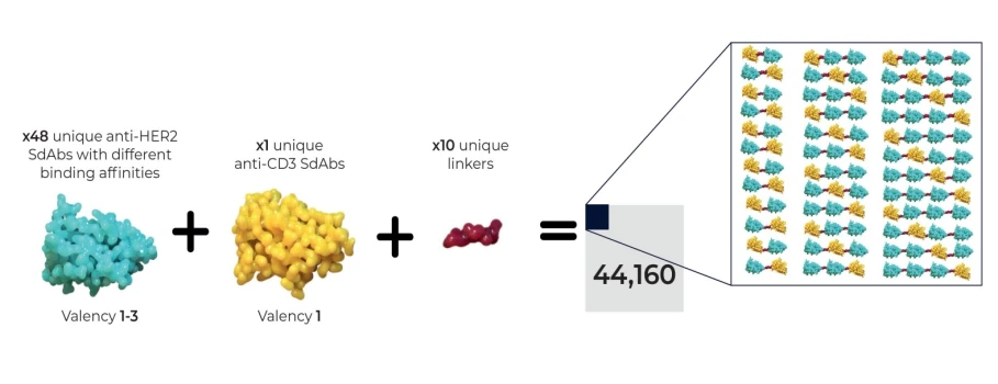 LabGenius' AI-driven platform for antibody discovery and design, optimising T-cell engagers for cancer treatment.