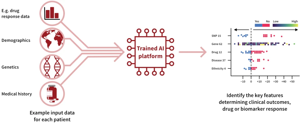 Reprocell's Pharmacology-AI Workflow