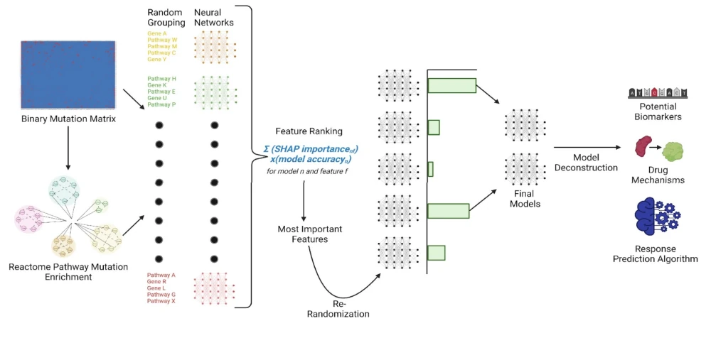 AI-driven drug discovery platform RADR® by Lantern Pharma