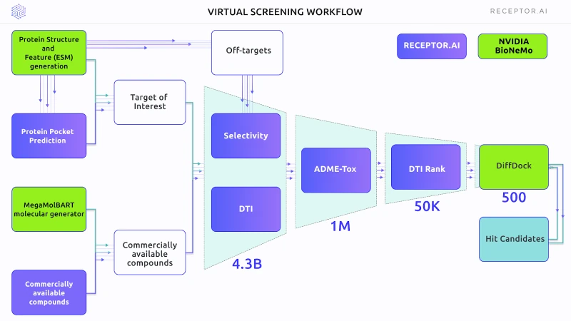 Diagram of the general scheme of experiment. BioNeMo technology is shown in green and Receptor.AI technology is shown in blue.