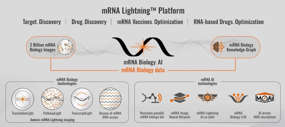 mRNA Lightning Platform