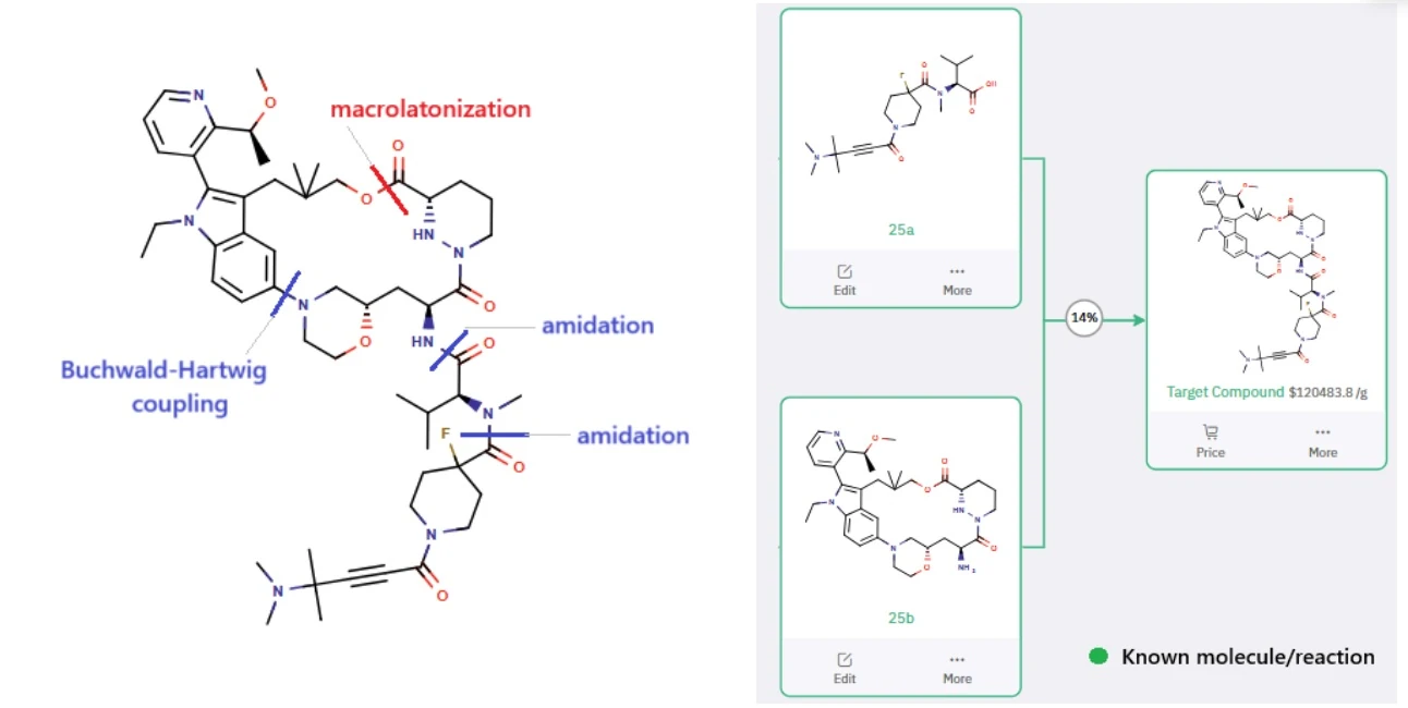 ChemAIRS-Driven Retrosynthesis of Elironrasib
