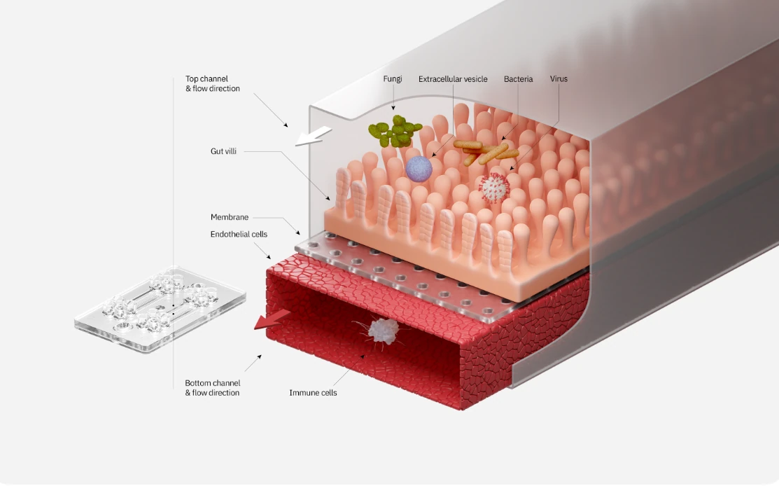 Cellbox Labs’s technology